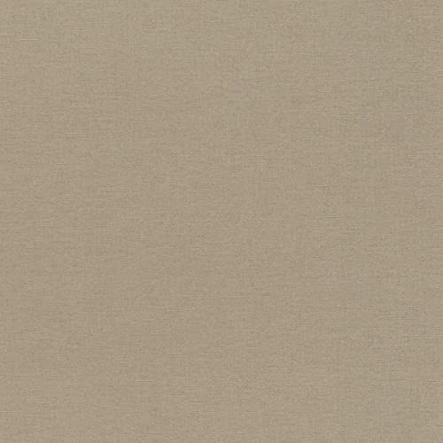 rasch Tapete 449815 aus der Kollektion Florentine II – Einfarbige Vliestapete in Braun – 10,05m x 53cm (L x B)