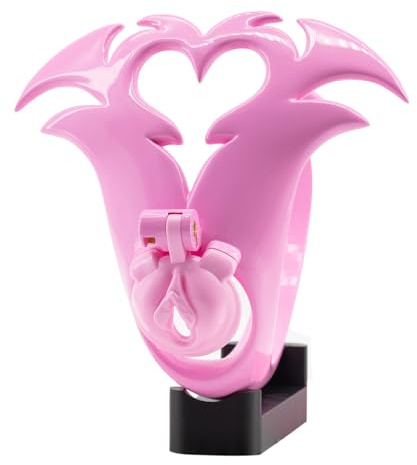 Cage de chasteté avec culotte florale anti-dégorgement, cage à bite creuse avec 4 mousquetons, grande ouverture urinaire, sextoys péniens pour hommes Sissywear et Bondage (Pink-Sissy)