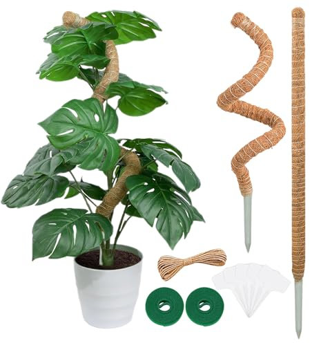 Monstera Rankhilfe Moosstab 2er Set - 63 cm Flexible Pflanzenstütze, Pflanzenstab für Monstera, Handmade Coco Coir Pole Plant Support for Creeper Plants Grow Up