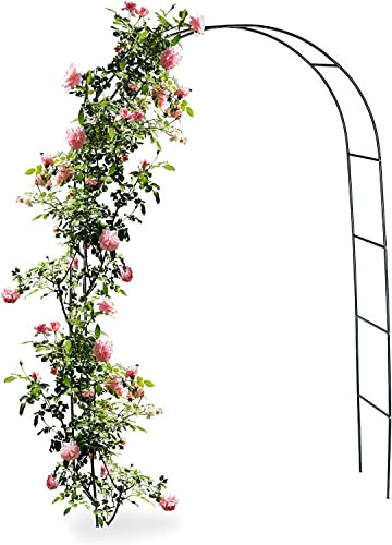 Arche de jardin en métal de 1 m de large, tonnelle tubulaire autoportante pour roses et plantes grimpantes, décoration d'arche solide noire (100 x 20 x 220 cm)