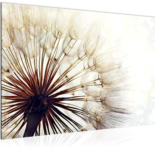Runa Art Bild Pusteblume Modern Wandbilder Wohnzimmer Schlafzimmer 1 Teilig - Made In Germany - Gräser Beige Braun Flur 012215a