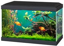 Ciano Aqua 20 Classic Aquarium Fish Tank - Black
