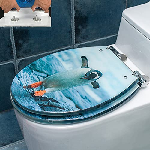 Colorful Patterned Elongated Toilet Seat with Soft Close Quick Release Hinges Easy to Clean Comfortable and Stylish