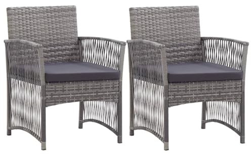 mtlskopl Modern Anthracite Garden Armchair Set of 2, Powder-Coated Steel & Synthetic Poly Rattan Outdoor Chairs 22.8 x 21.9 x 29.9 in, Portable Seat for Patio Balcony Terrace & Indoor Use