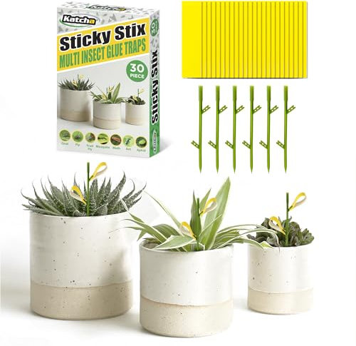 Insect Traps for Indoor Outdoor Plants Flying insects, controls Aphids, Whiteflies, Fruit Flies, All flying Insects Simply SET & FORGET, mega strong sticky glue with extra pulling power 24 pieces