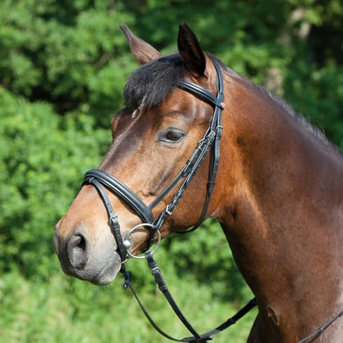 Kieffer Trensenzaum Ergonomic Line Trense Warmblut Extra ENGL. Reithalfter (schwarz)
