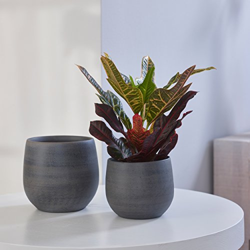 Ivyline Blumentopf Esra Ø 13 cm Übertopf Pflanztopf rund Keramik Indoor grau