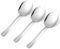 3 Stück Servierlöffel Groß, Servierlöffel 25cm, Servierlöffel Edelstahl, Löffel Groß, Vorlegebesteck, Vorlegelöffel, Serving Spoon, Lange Löffel Edelstahl, Servierbesteck