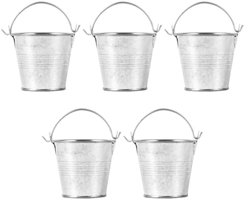 NOLITOY 5pcs Iron Bright Buckets for Succulent Plants Portable Flower Pots for Balcony Gardening Creative Multipurpose Planters