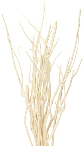 Mitsumata Zweige Weiß Deko 34-60cm 12 St Naturdeko Asiatisch Maritim, 12 Stück