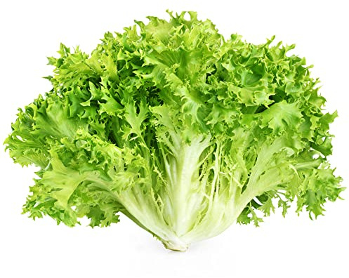 Endive (Green Curled) (200 Seeds)
