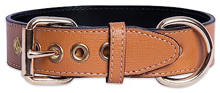 Hundehalsband Leder Hundehalsband Leder Hundehalsband Metall Zubehör Handmade (XL (43'5-53cm), Haselnuss)