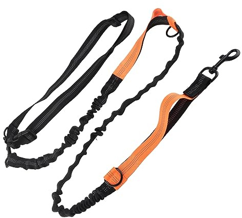 Laisse élastique pour chien, durable, robuste et élastique laisse de chien en nylon absorbant les chocs bande réfléchissante pour grands chiens pour l'entraînement (ORANGE)