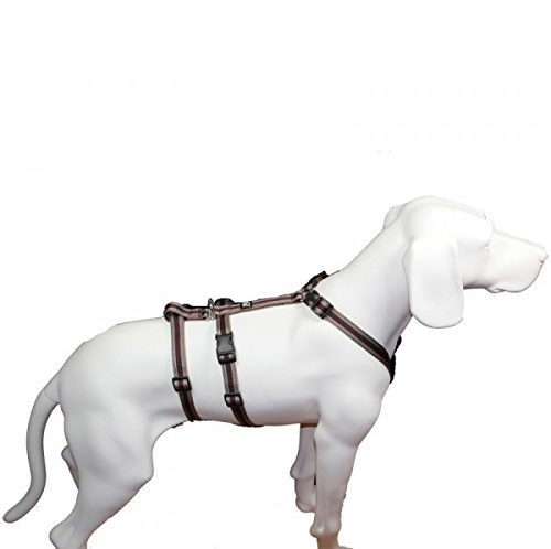 Feltmann NoExit Hundegeschirr® - ausbruchssicher, Panikgeschirr, braun Muster, Bauchumfang 50-65 cm, 20 mm Bandbreite
