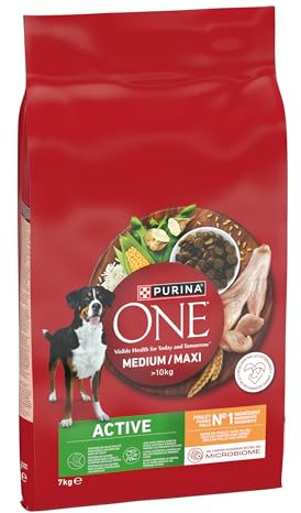 PURINA ONE | Active | Chien Adulte de moyenne et grande taille > 10Kg | Croquettes riches en protéines | Aide à maintenir des muscles forts et un niveau suffisant d'énergie | au Poulet | Sac | 7 kg