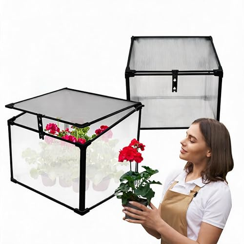 GRINDI IN THE GARDEN - Frühbeet Mini Gewächshaus Pflanzenhaus - Aluminium & Polycarbonat, 60x51x51, schwarz - für Garten, Balkon und Terrasse, Winterfest, Stabil & Einfach zu Montieren - Magnolia I