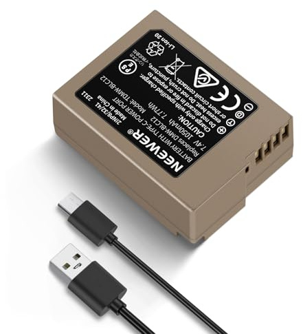 NEEWER Batterie de Remplacement DMW-BLC12 1100mAh pour Caméra Lumix DMC-G7 G85 G95 FZ300 FZ2500 DC-Z1000 II Sigma FP FP L V-LUX 5, Charge Complète Batterie en 2,3h avec Câble Charge Rapide USB Type C