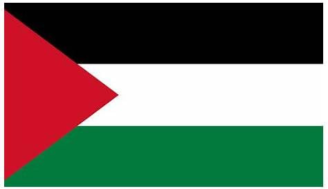 Drapeau Palestine 90 x 150 cm avec œillets en métal - Polyester léger 70 g, résistant pour extérieur/intérieur, décoration événements événements