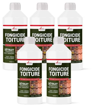 Anti-mousse, fongicide concentré, anti depot vert pour toiture, élimine aussi algues et lichens - 5 L (5 x 1L) - ARCANE INDUSTRIES