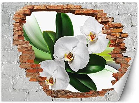 Feeby Fototapete 3D Natur Loch in der Wand Abstrakt 350x245 cm Weiß Vlies Wandtapete Tapeten Wohnzimmer Schlafzimmer Büro Flur Moderne Design Wandbilder Wand Dekoration Blume Orchidee Blätter