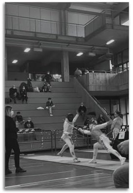 qiyan Poster, Motiv: Fechten, Sporthalle, Kunstposter, dekoratives Gemälde, Leinwand, Wandposter und Kunstdruck, modernes Familienschlafzimmer, Dekoration, Poster, 40 x 60 cm