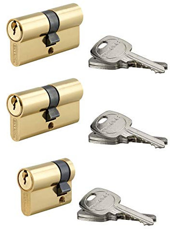 THIRARD - Cylindre de Serrure Double Entrée - Laiton - Mécanisme à 5 Goupilles - 30 x 30 mm + 30 x 10 mm - Gris - Lot de 2 + 1 - Panneton Anti-Arrachement - Livré avec 9 Clés Crantées