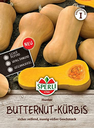 Sperli Butternutkürbissamen Hunter F1 81334, Gemüsesaat | Früchte 1-1,5 kg