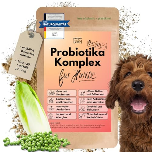 People who Kaer Probiotika Hund – 3-Stämme Komplex zum Darmflora Aufbau & Darmsanierung – Synbiotikum Pulver bei Verdauungsstörungen & Allergien – Unterstützt Immunsystem & Verdauung (200g)