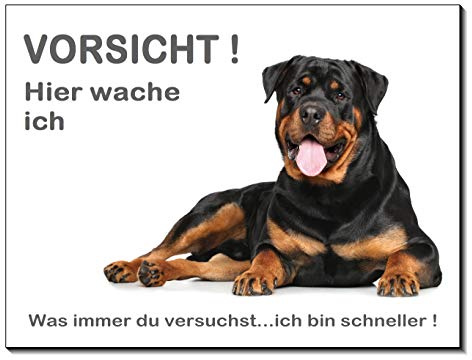 Rottweiler-Hier wache ich-Hundeschild-Schild-3 Größen-Aluminium Verbund-Hund-Tierschild-Warnschild-Hinweisschild (1450-83 -20 x 15 cm mit Löcher)