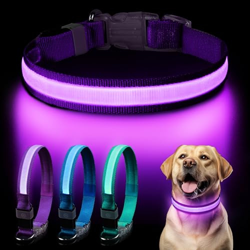 Leuchtend Halsband, Leuchthalsband Hund Aufladbar, LED Halsband Hund, Leuchtband Einstellbar Wasserdicht mit 3 Lichtmodi Hunde leuchthalsband für Kleine Mittlere Große Hunde Nachtspaziergänge Lila S