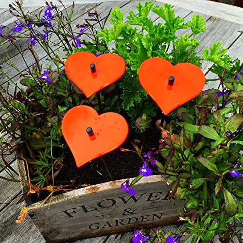 Sun Catcher Garden Decor Sonnenfänger Set aus 3 kleinen leuchtenden Herzen Dekoration für Garten, Balkon Terrasse, Hochzeit, Love, Liebe, Farbe:rot