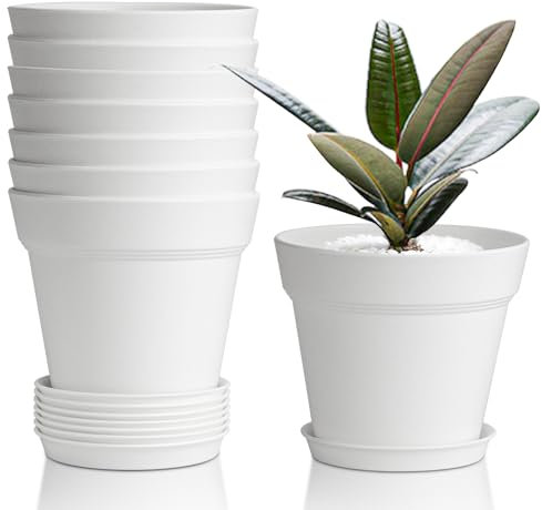 T4U 10CM Plastic Plant Pots 6-Pack, Small Flower Pot with Drainage Hole and Saucer, Classic Indoor Outdoor White Plant Pots for Succulent, Snake Plant, Aloe Vera and All House Plants