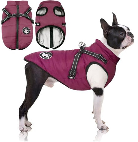 LUOWAN Hundemantel Wasserdicht, Hundemantel Französische Bulldogge, Warme Weste mit Hundegeschirr, Verschiedene Größen,Hundejacke für Kleine Hunde