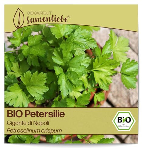 Samenliebe BIO Petersilie Samen Gigante di Napoli italienisch großblättrig glatt 500 Samen samenfestes Kräuter Saatgut für Küche indoor und Balkon Garten BIO Kräutersamen mehrjährig und winterhart