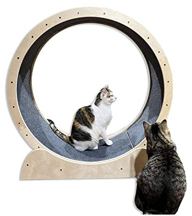 Hundelaufband Laufband für Katzen, Laufband für Haustiere, Laufband für Haustiere, leises Laufrad für Katzen, Laufband mit Teppichboden, Spielzeug für Haustiere