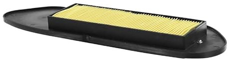 cyclingcolors Filtro de aire para motocicleta, ciclomotor y scooter compatible con yamaha 125 xmax 250 xcity mbk skycruiser cityliner équivalent HFA4104 1B9144510000