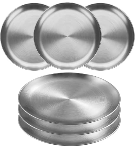 QingWing 6 Stück Edelstahl Teller, Ø 20 cm Runder Edelstahlteller Edelstahl Geschirr Camping Teller Retro Matte Servierplatte Campingteller, für Camping Picknick Küche Grillen Party Kerzen