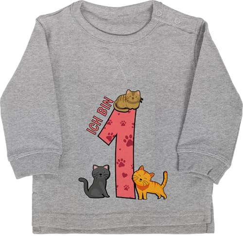 Shirtracer - Baby Pullover Jungen Mädchen - 1. Geburtstag - Ich Bin eins