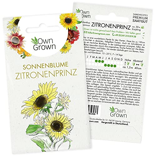Sonnenblumen Samen Zitronenprinz (Helianthus annuus): Premium Sonnenblumen Saatgut, Sonnenblume Saat zur Anzucht von ca. 30 Pflanzen - Insektenfreundliche Blumensamen von OwnGrown