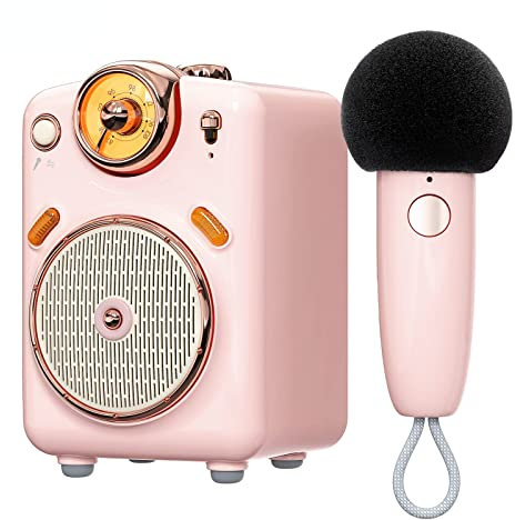 NGARY Mini Altavoz Portátil Bluetooth, Máquina De Karaoke USB con 7 Modos De Micrófono Inalámbrico De Sonido, Radio FM Y Tarjeta TF, HiFi, para Fiestas Al Aire Libre O Regalos