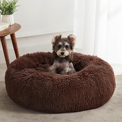Western Home Hundebett Run, Katzenbett Flauschig, Hundekissen Kleine Hunde,Hundebett Waschbar,Hundekorb,Katzenkorb Zum Schlafen 50 cm,Dunkelbraun