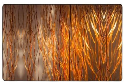 VVXBHGR Tappeto in tessuto di flanella con stampe di rami di salice al sole, 152,4 x 99,1 cm, tappetino per soggiorno, ufficio, tavolino da caffè, letto, balcone