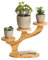 JUMRHFAN Petit support de plantes en bois, étagère à plantes pour rebord de fenêtre, support de plantes rond pour table, support de plantes pour bureau, chambre à coucher(3 Niveaux)