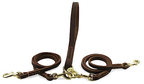 Beavorty 1 6 M Leine Für Welpen Sichere Haustier Traktion Strap Mode Pet Supplies Einstellbare Hund Kragen Welpen