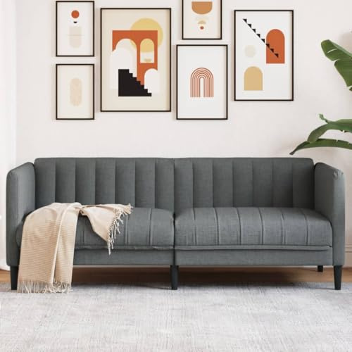 Willood Sofa 2-Sitzer Couch mit Armlehnen Rückenlehne Stützbeine, Loungesofa für Wohnzimmer, Polstersofa Sofagarnitur, Modern Dunkelgrau Stoff