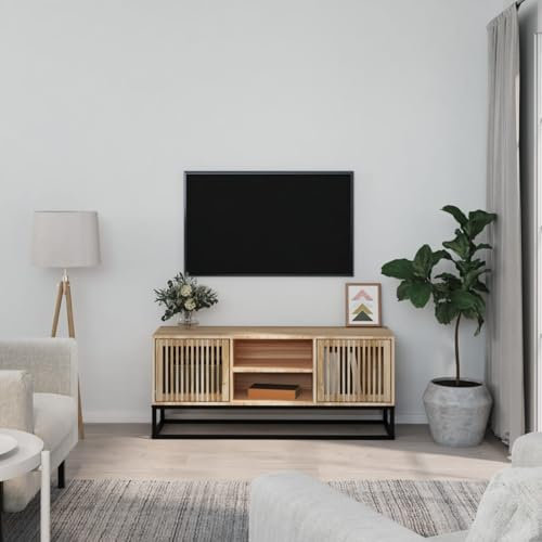 Buzaza TV-Schrank 105x30x45 cm Holzwerkstoff und Eisen DVD Schrank Fernseher Tisch Modern