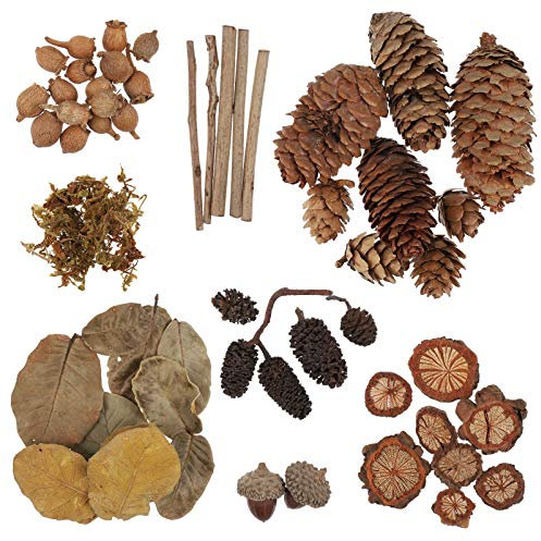Yardwe 1 Pack of Natural Wood Branches Natural Acorns Pine Cones Leaves Ornaments for DIY Craft Rustic Retro Vintage Decoration Photo Props Decorative Fall Winter Holiday Home Decor Vase Filler