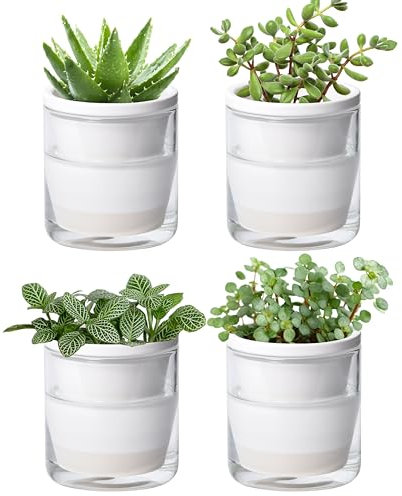 D'vine Dev Maceta con diseño de autorriego de 4 pulgadas para plantas de interior, macetas de terracota blanca con taza de vidrio cilíndrica, juego de 4, 37-Y-A-4
