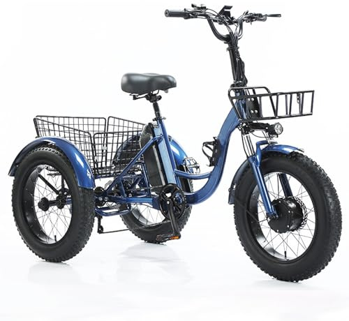 EaThsalL 24 E BIK Herren Damen Elektro-Dreirad Für Erwachsene Faltbares E-Bike 3 Rad Elektrodreirad FüR Senioren mit Aufbewahrungskorb Höhe Einstellbare Tragfähigkeit 200kg