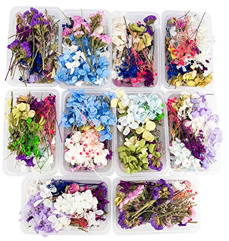 Uoeo 3 Boxes Dried Flowers 3D Real Nail Dried Flowers Mixed Natural Dried Flowers DIY Art Floral Real Dried Flowers for Candle Nail Epoxy Resin Pendant Jewelry Making, Random Color
